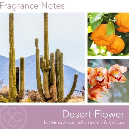 Duftkerze Desert Flower - 411g – Hauptansicht