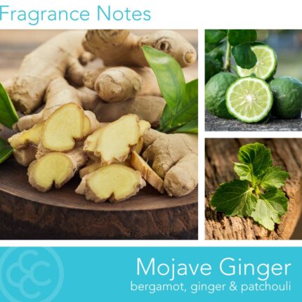 Duftkerze Desert Mojave Ginger - 411g – Hauptansicht