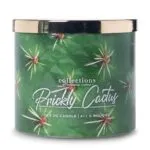 Duftkerze Desert Prickly Cactus - 411g – Produktansicht