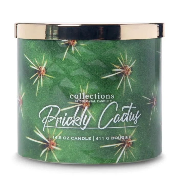 Duftkerze Desert Prickly Cactus - 411g – Produktansicht