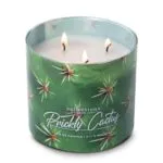 Duftkerze Desert Prickly Cactus - 411g – Produktansicht