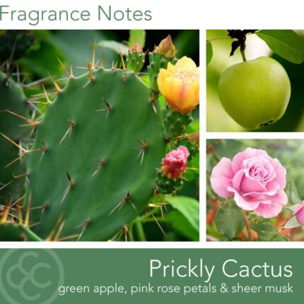 Duftkerze Desert Prickly Cactus - 411g – Hauptansicht