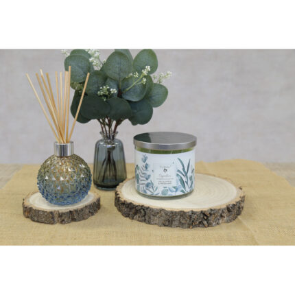 AR1520BL_LeeresDiffuserGlas_WTT023_Duftkerze_410g-JPG-q0ij.jpg