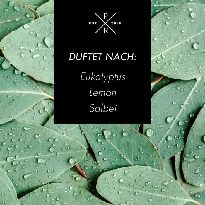 Duftnote-Eukalyptus.jpg