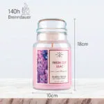 fresh-cut-lilac-ma-e-purple-river-623g-table.jpg