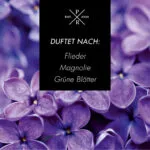 Fresh-Cut-Lilac-FN.jpg