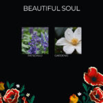 FK-BeautifulSoul-DUFTNOTEN-jpg.jpg