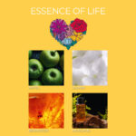 FK-EssenceOfLife-DUFTNOTEN-jpg.jpg