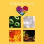 FK-EssenceOfLife-DUFTNOTEN-jpg.jpg