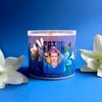 A2233-FK-400G-FRIDA-MOOD-FIRE-jpeg.jpg
