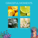 FK-GracefulMoments-DUFTNOTEN-jpg.jpg