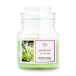 A2208-PR-113G-GingerLime-FREI-LABEL-PS-jpg.jpg