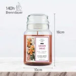 A1856-PR-623G-Gingerbread-MAssE-jpg.jpg
