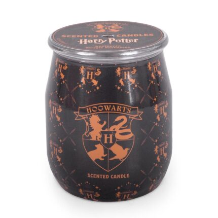 A2846-HP-9G-BARRELS-Hogwarts-FREI-jpg.jpg