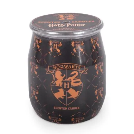 A2846-HP-9G-BARRELS-Hogwarts-FREI-jpg.jpg