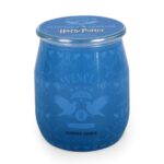 A2843-HP-9G-BARRELS-Ravenclaw-FREI-jpg.jpg