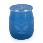 A2843-HP-9G-BARRELS-Ravenclaw-FREI-jpg.jpg
