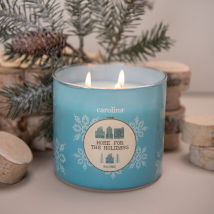 Carolina-Needle-Home2.jpg