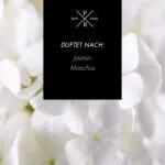 jsamin-love-PR-623g-duftnoten.jpg