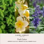 LauraAshley-Duftnotenbilder-FreshCotton-jpg.jpg