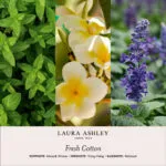 LauraAshley-Duftnotenbilder-FreshCotton-jpg.jpg