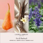 LauraAshley-Duftnotenbilder-Iris-Patchouli-jpg-YuU2.jpg