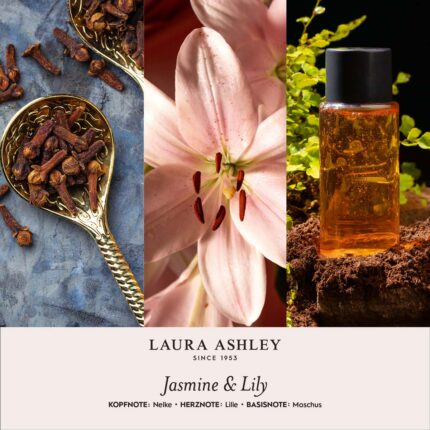 LauraAshley-Duftnotenbilder-Jasmine-Lily-jpg.jpg