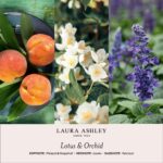 LauraAshley-Duftnotenbilder-Lotus-Orchid-jpg-gGpb.jpg