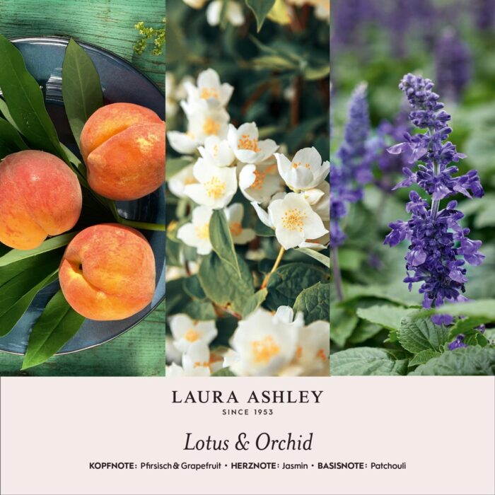 LauraAshley-Duftnotenbilder-Lotus-Orchid-jpg-gGpb.jpg