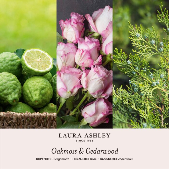 LauraAshley-Duftnotenbilder-Oakmoss-Cedarwood-jpg.jpg