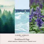 LauraAshley-Duftnotenbilder-Sandalwood-Sage-jpg-6kv3.jpg