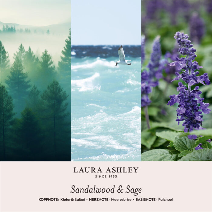 LauraAshley-Duftnotenbilder-Sandalwood-Sage-jpg-6kv3.jpg