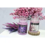 Duftkerze Cherry Blossom - 565g – Hauptansicht