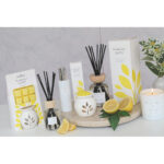 Lemon-Sorbet-Mood-AbVC.jpg
