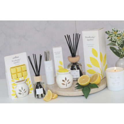 Lemon-Sorbet-Mood-AbVC.jpg