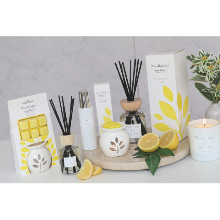 Lemon-Sorbet-Mood-AbVC.jpg