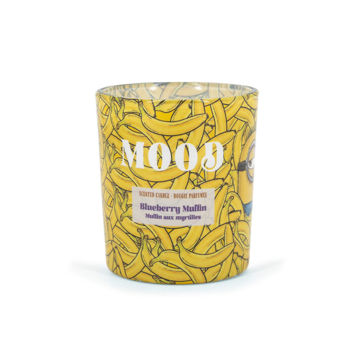 A2291-MINIONS-110G-Mood-FRONT-FREI-jpg.jpg