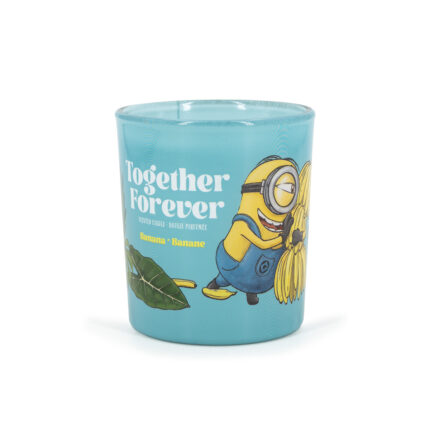 A2289-MINIONS-110G-TogetherForever-SIDE-FREI-jpg.jpg