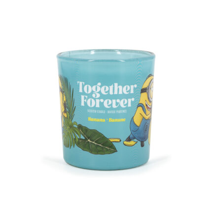 A2289-MINIONS-110G-TogetherForever-FRONT-FREI-jpg.jpg