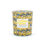 A2290-MINIONS-110G-YellowPower-FRONT-FREI-jpg.jpg