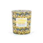 A2290-MINIONS-110G-YellowPower-FRONT-FREI-jpg.jpg