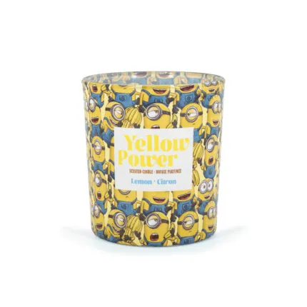 A2290-MINIONS-110G-YellowPower-FRONT-FREI-jpg.jpg