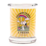 PEANUTS-AFriend.jpg
