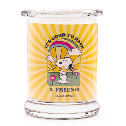 PEANUTS-AFriend.jpg