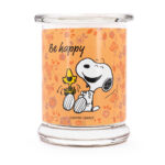 A2102-PEANUTS-250G-BeHappy-FREI-jpg.jpg