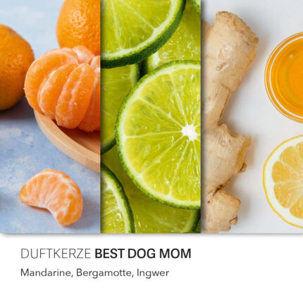 Best-Dog-mom-Peanuts-duftnoten-jpg.jpg