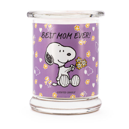 A2106-PEANUTS-250G-BestMomEver-FREI-jpg.jpg