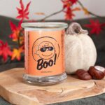 A1839-PEANUTS-250G-Boo-MOOD-jpg.jpg