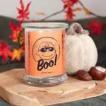 A1839-PEANUTS-250G-Boo-MOOD-jpg.jpg