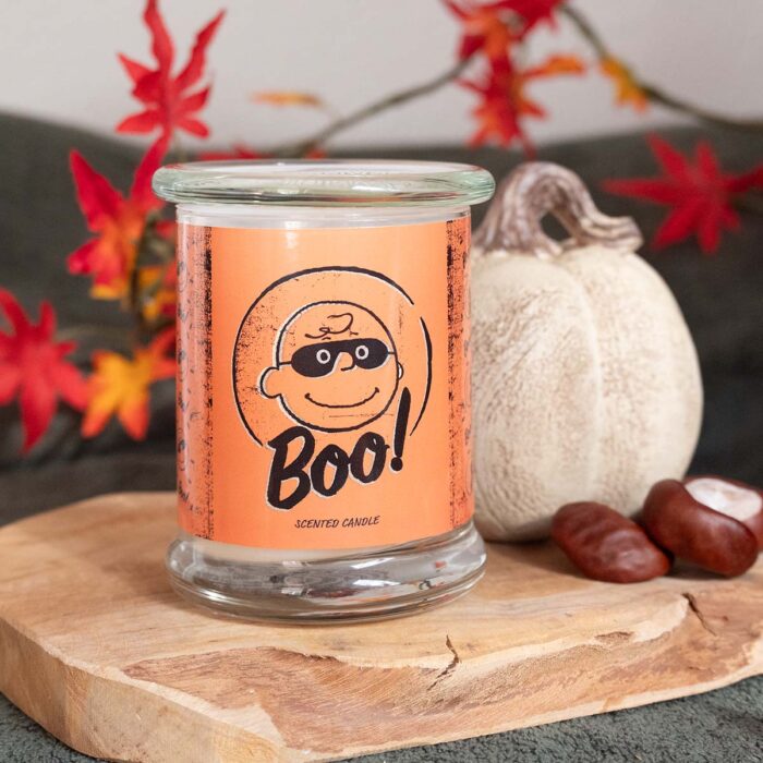 A1839-PEANUTS-250G-Boo-MOOD-jpg.jpg